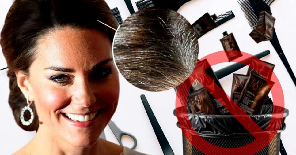 Tinta natural feita com 3 ingredientes cobre até o último fio grisalho e branco (Foto Reprodução/Montagem/Tv Foco/Lennita/Canva)