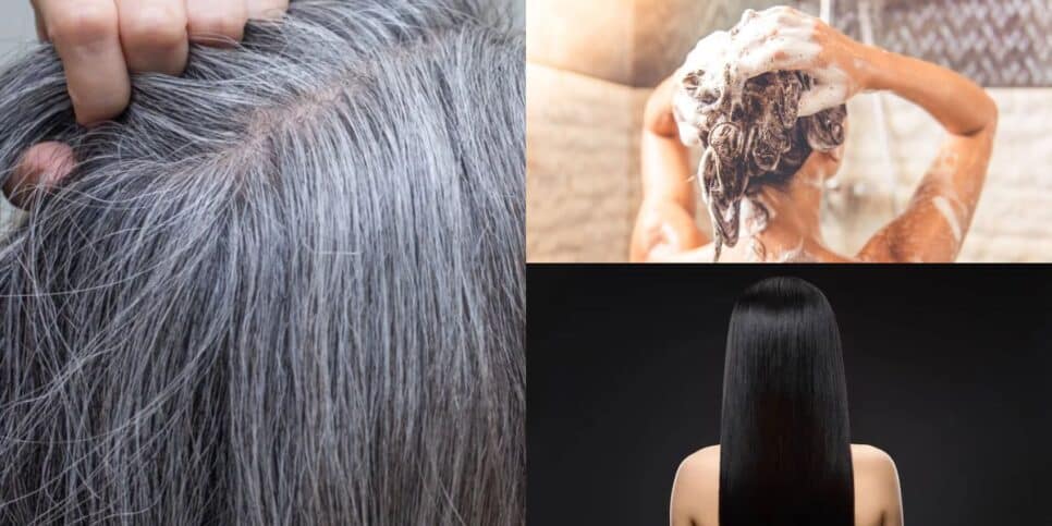 Fim do cabelo grisalho com shampoo caseiro (Reprodução: Montagem TV Foco)