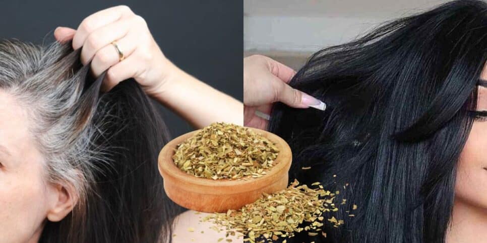 Fim do cabelo branco com tinta natural de orégano (Reprodução: Montagem TV Foco)