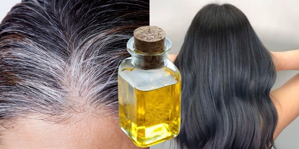 Fim do cabelo grisalho com um óleo natural (Reprodução: Montagem TV Foco)