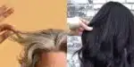 Fim do cabelo branco com receita de três ingredientes (Reprodução: Montagem TV Foco)