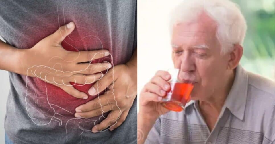 Descoberta traz 1 único ingrediente popular que extermina o risco de câncer no intestino - Foto: Internet
