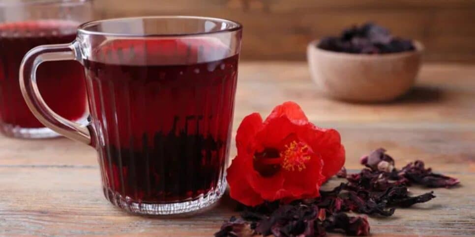 Chá de hibisco ajuda no emagrecimento (Reprodução: Canva)