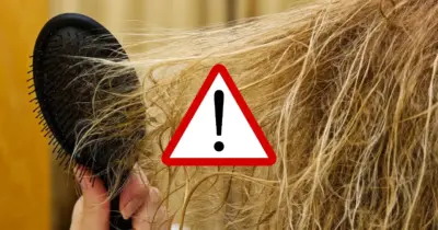 Sem pisar no salão: Receita com apenas 2 ingredientes revive o cabelo destruído