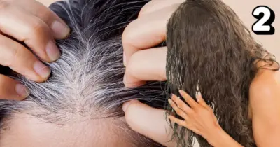 Tinta natural com 2 ingredientes reverte até o último fio de cabelo branco e acaba com os fios danificados