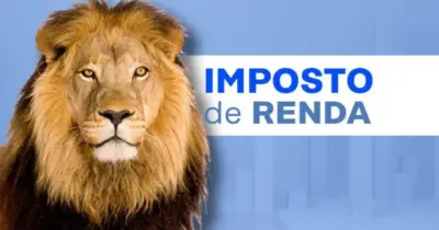 Para salvar o bolso e dar adeus à Malha Fina: 6 passos infalíveis para economizar no Imposto de Renda em 2025