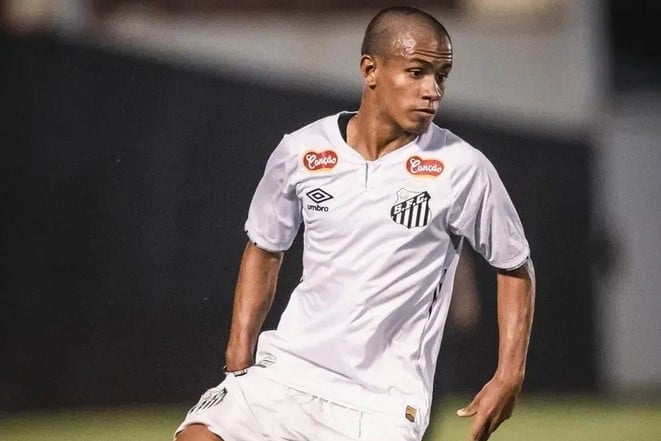 Nadson (Foto: Bruno Vaz / Santos FC)