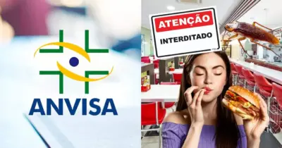 Baratas, insetos e alimentos podres: ANVISA interdita lanchonete nº1 de Porto Alegre, no RS, por nojeira