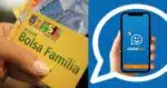 Bolsa Família / Caixa Tem - Montagem: TVFOCO