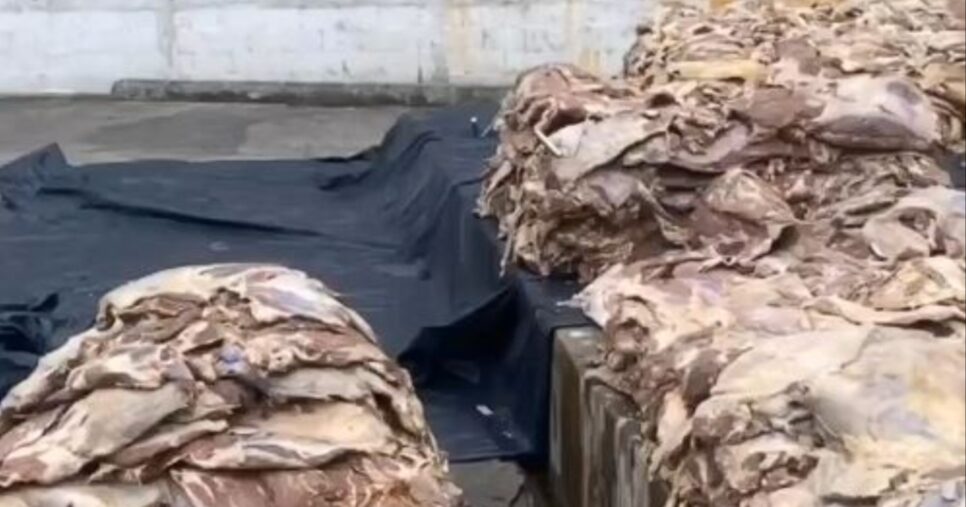 Carne encontrada pela Vigilância Sanitária