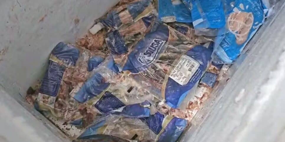 Carne imprópria para consumo em Três Rios (Foto: Reprodução / Globo)