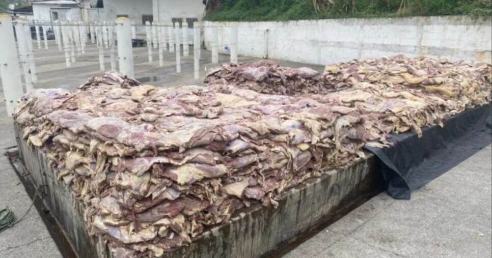 Carne interditada