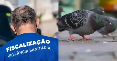 Denúncia de carne de pombo traz interdição da Vigilância Sanitária contra restaurante nº1 e anúncio é emitido