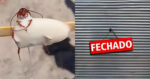Imagem PreCarregada