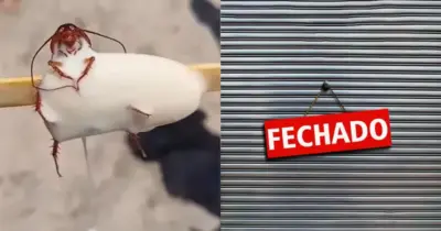 Barata no picolé: Fechamento de fábrica de sorvetes nº1 no RJ deixa cariocas abalados com nojeira em 2025