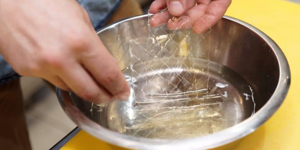 Folha de gelatina (Foto: Canva)