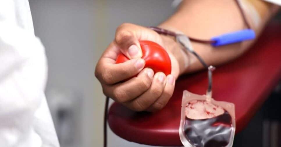 Licença para doação de sangue (Reprodução/Internet)