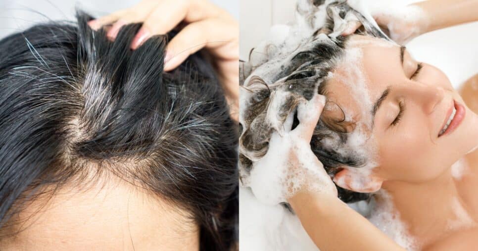 Shampoo elimina o cabelo branco sem danificar os fios em 3 min (Reprodução/Montagem TV Foco/Canva)