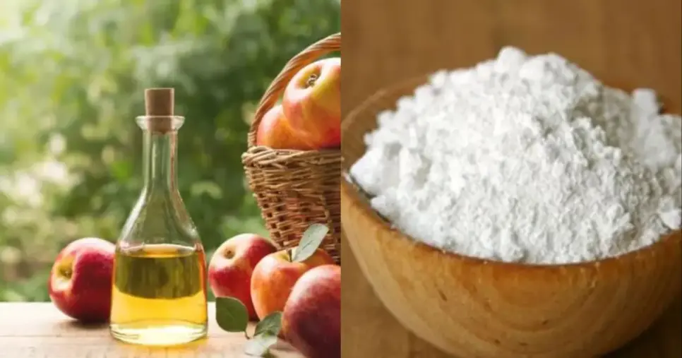 http://tvfoco.uai.com.br/wp-content/uploads/2015/05/Daniela-Mercury.jpg http://tvfoco.uai.com.br/wp-content/uploads/2015/05/Daniela-Mercury.jpg
