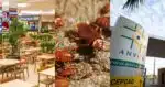 ANVISA interdita praça de alimentação de shopping nº1 de Brasília, DF, por nojeira - Foto: Montagem