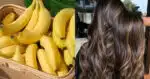 Com essa receita prática de banana, você recupera os cabelos (Foto: Divulgação)
