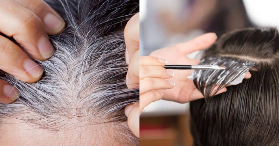 Mistura com 3 ingredientes escurece o cabelo branco e revive fios danificados - Foto: Montagem