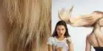 Cabelo liso sem progressiva e com apenas 2 ingredientes (Reprodução: Montagem TV Foco)