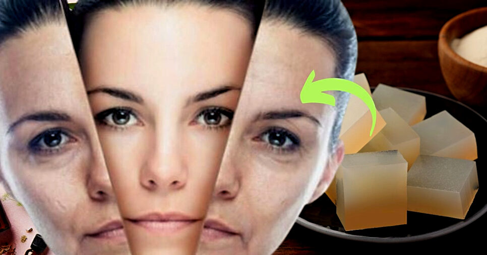 Colágeno natural a base de ingrediente acessível traz bomba de colágeno (Foto Reprodução/Montagem/Tv Foco/Canva/Pinterest/)