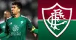 Fluminense recebe quentinha de contratação de Firmino - (Montagem / TV FOCO)