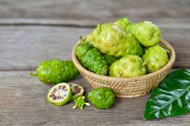 Fruto de Noni (Foto Reprodução/Tua Saúde)