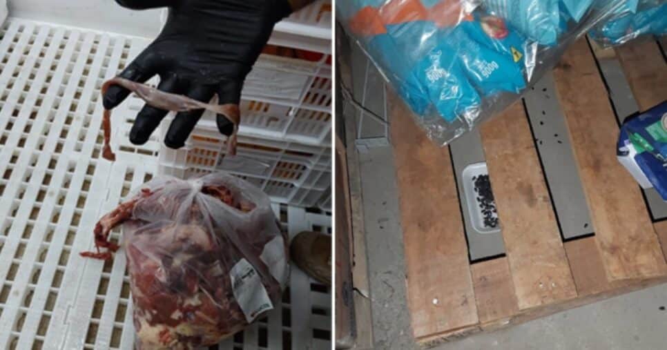 Supermercado é interditado por nojeira - Foto: Internet