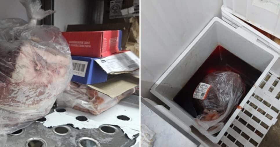 Supermercado é interditado por nojeira - Foto: Internet