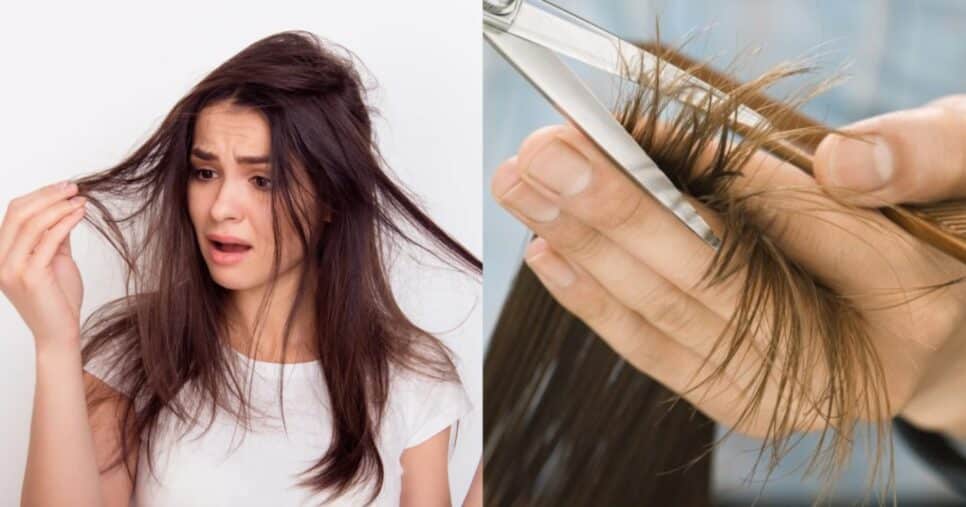 8 cortes de cabelo aumentam volume dos fios e acabam com pontas ralas - (Montagem / TV FOCO)