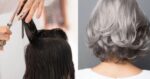 4 cortes de cabelo que envelhecem 15 anos (Foto: Montagem/TV Foco)