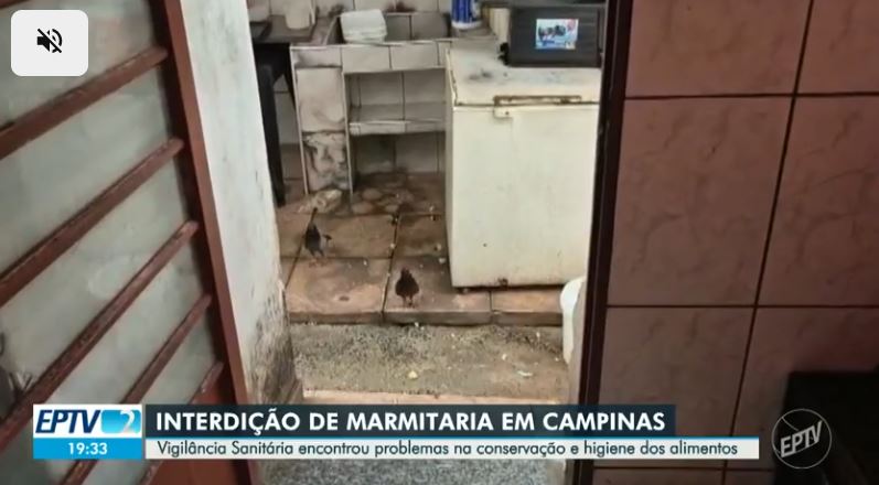 Presença de pombos andando livremente no interior da cozinha (Foto Reprodução/Globo)