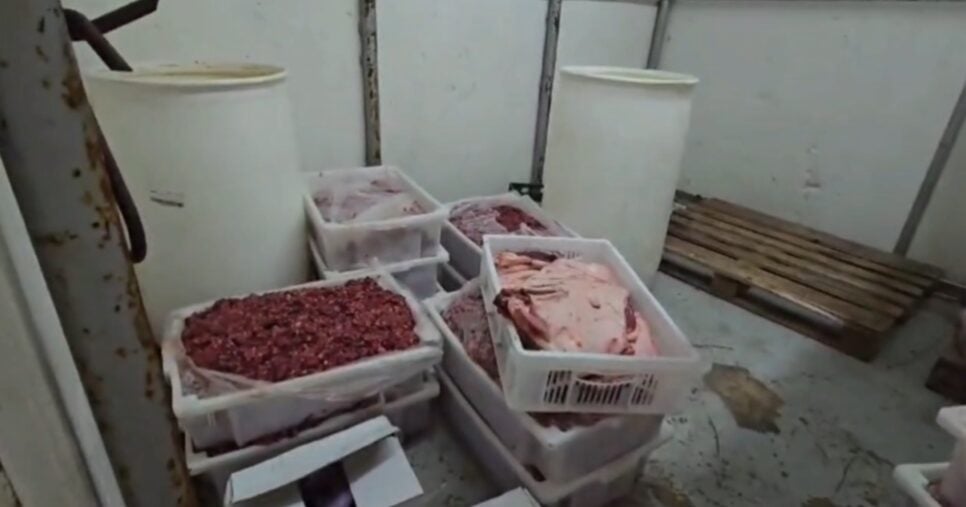 A carne foi encontrada sendo armazenada de forma incorreta (Foto: Reprodução/ Internet)