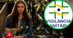 Vigilância Sanitária descarta toneladas de azeite e café após descoberta (Foto Reprodução/Montagem/Tv Foco/Canva/GMN)