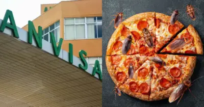 Baratas e nojeira: A interdição da Anvisa contra pizzaria n°1 de SP após flagra