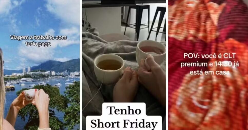 Alguns dos benefícios compartilhados por pessoas 'CLT Premium', pelo TikTok (Foto: Reprodução/ TikTok)