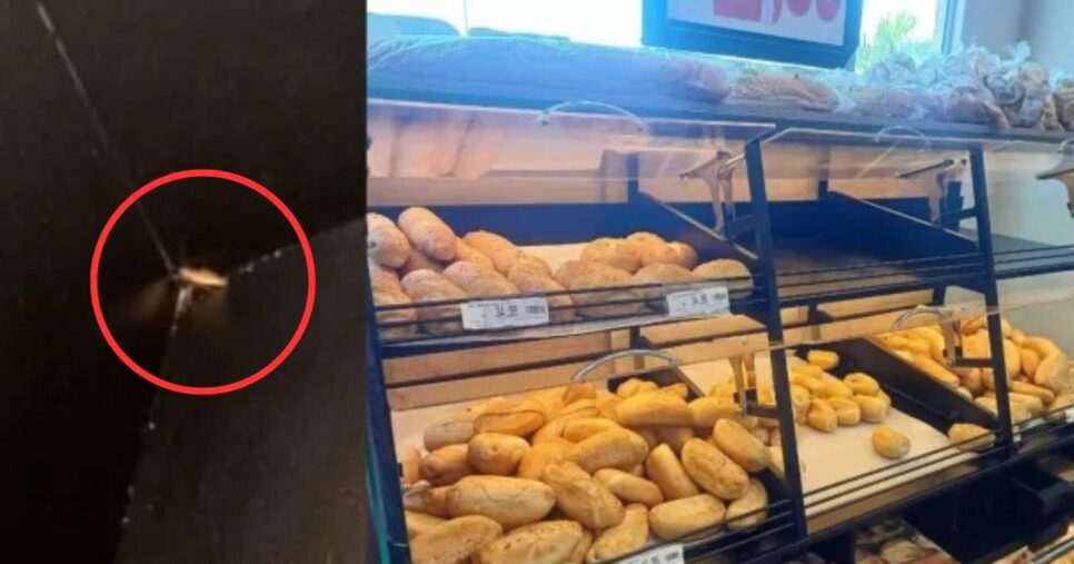 Baratas foram flagradas andando livremente entre os pães (Foto Reproduão/Montagem/Tv Foco/O Dia)