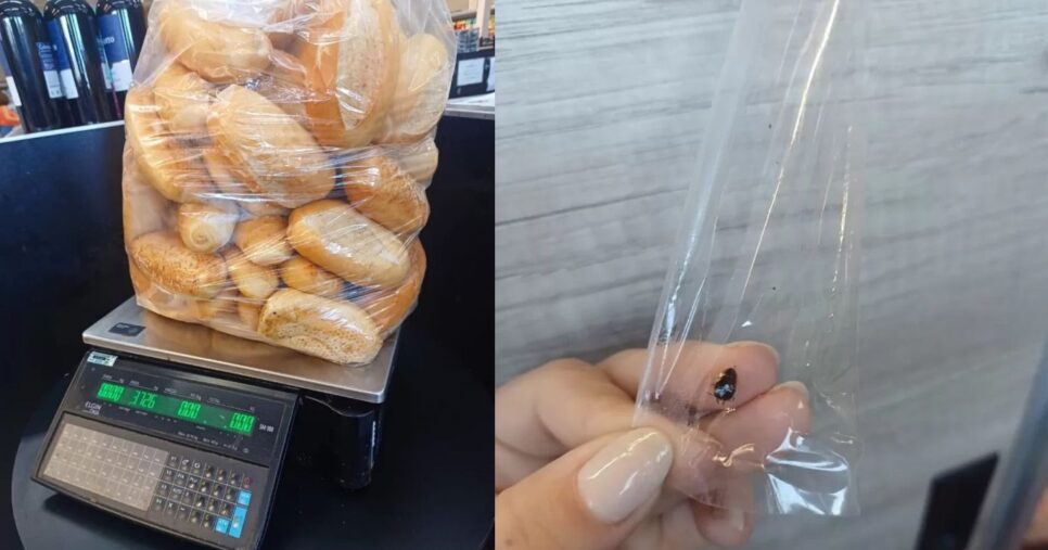 Pães descartados após situação insalubre (Foto Reprodução/Tv Foco/O Dia)