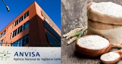 Pedaços de inseto: Anvisa traz descoberta assustadora em farinha (Foto: Reprodução/ Internet)