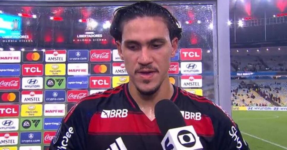 Pedro em seu retorno