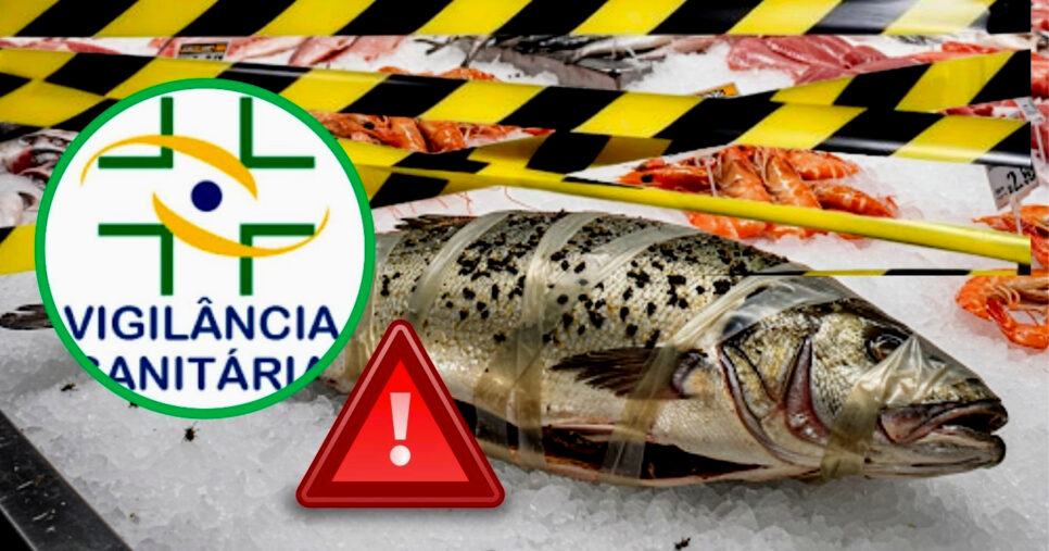 Vigilância interdita área de supermercado no Maranhão (Foto Reprodução/Montagem/Lennita/Tv Foco/Canva/Imagem ilustrativa)
