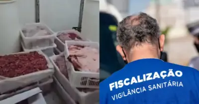 Prisão do dono e 38 toneladas de carne estragada: Vigilância Sanitária interdita frigorífico n°1 em São Paulo