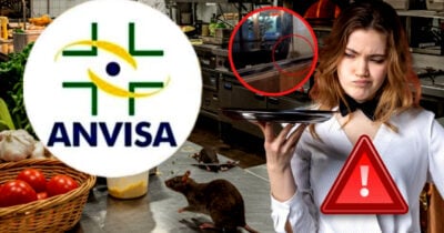 Passe livre de ratos liga alerta da ANVISA em restaurante de shopping popular (Foto Reprodução/Montagem/Tv Foco/Canva/Lennita/GMN/Imagem meramente ilustrativa)