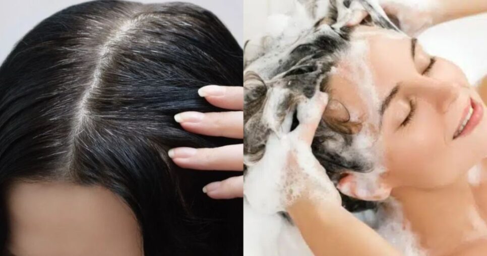 Shampoo natural reverte até a raiz do cabelo branco em 3 passos