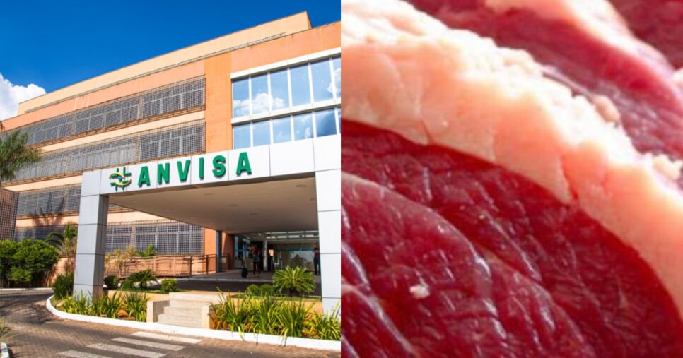 Anvisa confirma proibição contra marca famosa de carne - Foto; Montagem