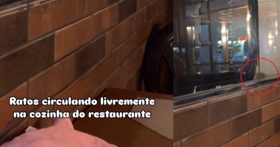 Imagens registradas do rato nas dependências da cozinha, através de um vídeo amador feito por uma cliente, em março de 2025 (Foto Reprodução/Montagem/TV Foco/G1)