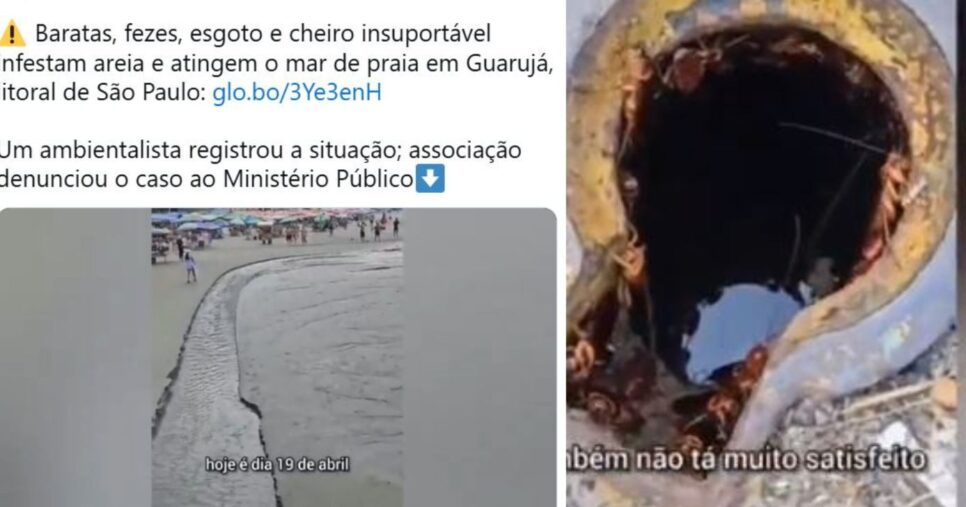 Imagens coletadas do vídeo (Foto Reprodução/Montagem/Tv Foco)